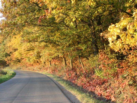 Kliknij na zdjęcie, żeby zobaczyć w pełnych wymiarach