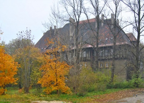 Kliknij na zdjęcie, żeby zobaczyć w pełnych wymiarach