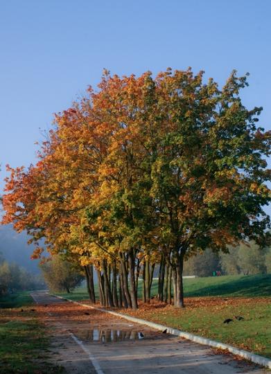 Kliknij na zdjęcie, żeby zobaczyć w pełnych wymiarach