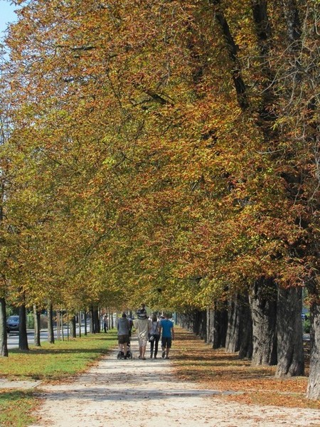 Kliknij na zdjęcie, żeby zobaczyć w pełnych wymiarach