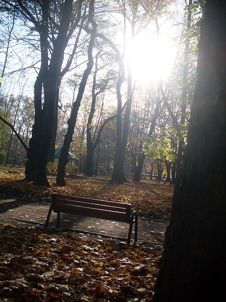 Kliknij na zdjęcie, żeby zobaczyć w pełnych wymiarach