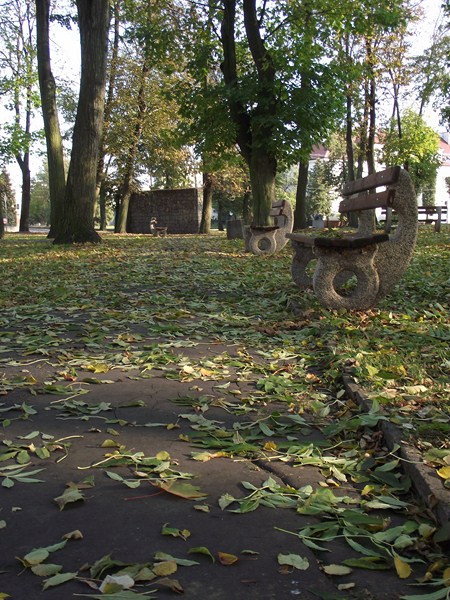 Kliknij na zdjęcie, żeby zobaczyć w pełnych wymiarach