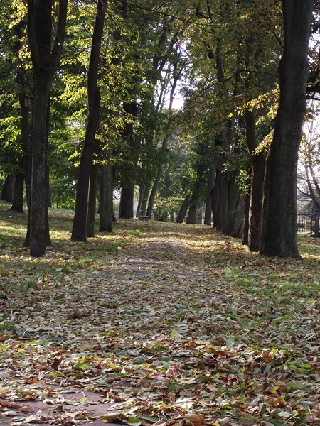 Kliknij na zdjęcie, żeby zobaczyć w pełnych wymiarach