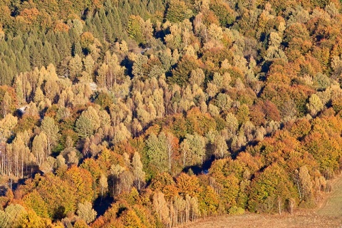 Kliknij na zdjęcie, żeby zobaczyć w pełnych wymiarach