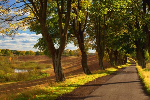 Kliknij na zdjęcie, żeby zobaczyć w pełnych wymiarach