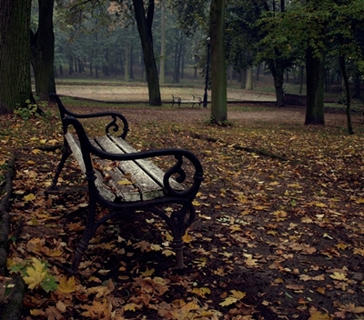 Kliknij na zdjęcie, żeby zobaczyć w pełnych wymiarach