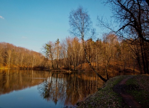 Kliknij na zdjęcie, żeby zobaczyć w pełnych wymiarach