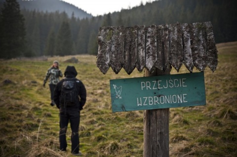 Kliknij na zdjęcie, żeby zobaczyć w pełnych wymiarach