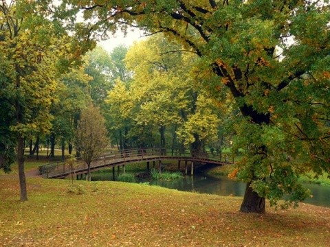 Kliknij na zdjęcie, żeby zobaczyć w pełnych wymiarach