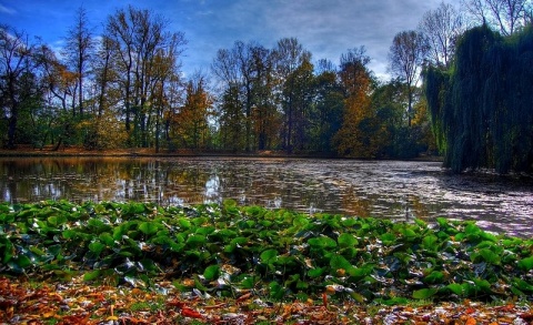 Kliknij na zdjęcie, żeby zobaczyć w pełnych wymiarach