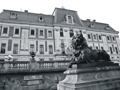 Kliknij na zdjęcie, żeby zobaczyć w pełnych wymiarach