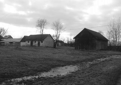 Kliknij na zdjęcie, żeby zobaczyć w pełnych wymiarach