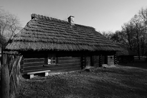 Kliknij na zdjęcie, żeby zobaczyć w pełnych wymiarach