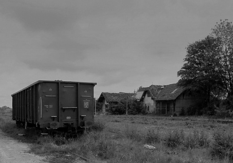 Kliknij na zdjęcie, żeby zobaczyć w pełnych wymiarach