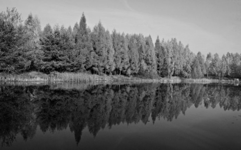 Kliknij na zdjęcie, żeby zobaczyć w pełnych wymiarach