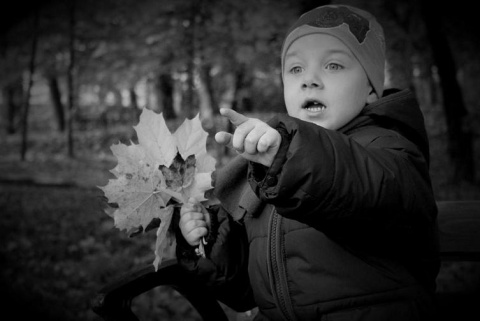 Kliknij na zdjęcie, żeby zobaczyć w pełnych wymiarach