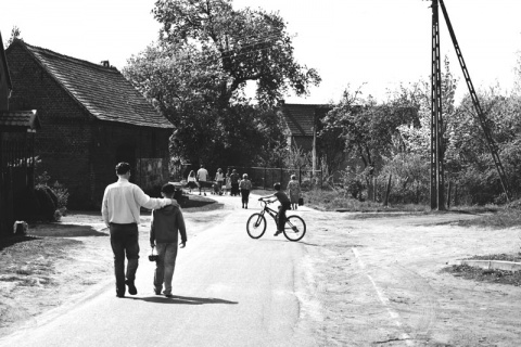 Kliknij na zdjęcie, żeby zobaczyć w pełnych wymiarach