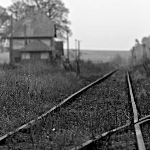 Kliknij na zdjęcie, żeby zobaczyć w pełnych wymiarach