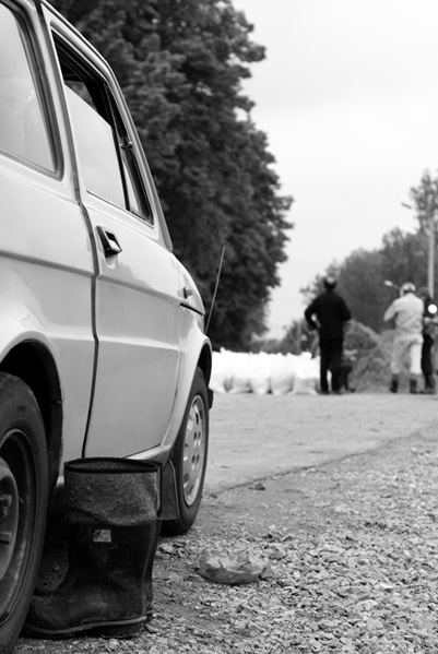 Kliknij na zdjęcie, żeby zobaczyć w pełnych wymiarach