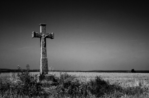 Kliknij na zdjęcie, żeby zobaczyć w pełnych wymiarach