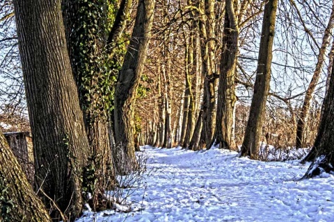 Kliknij na zdjęcie, żeby zobaczyć w pełnych wymiarach