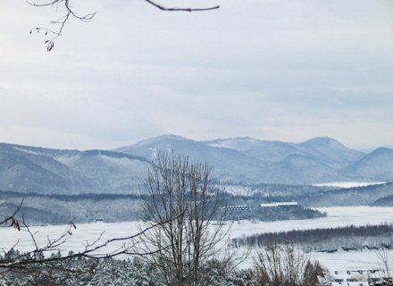 Kliknij na zdjęcie, żeby zobaczyć w pełnych wymiarach