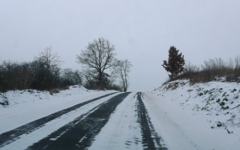 Kliknij na zdjęcie, żeby zobaczyć w pełnych wymiarach