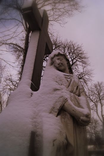 Kliknij na zdjęcie, żeby zobaczyć w pełnych wymiarach