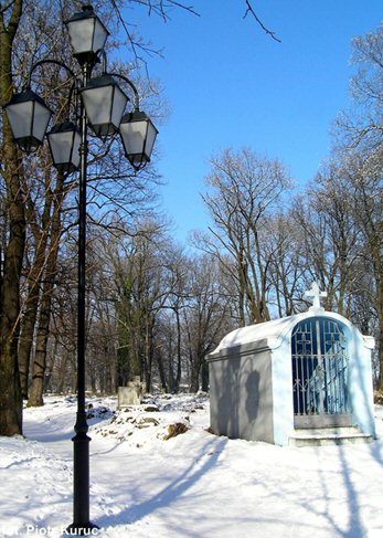 Kliknij na zdjęcie, żeby zobaczyć w pełnych wymiarach