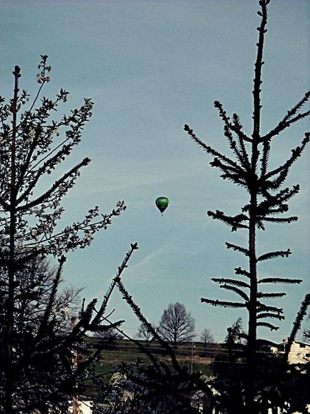 Kliknij na zdjęcie, żeby zobaczyć w pełnych wymiarach