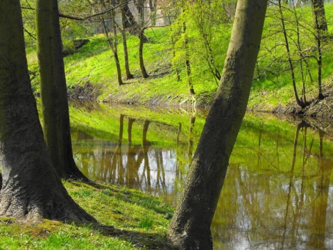 Kliknij na zdjęcie, żeby zobaczyć w pełnych wymiarach