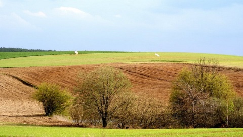 Kliknij na zdjęcie, żeby zobaczyć w pełnych wymiarach