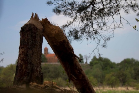 Kliknij na zdjęcie, żeby zobaczyć w pełnych wymiarach