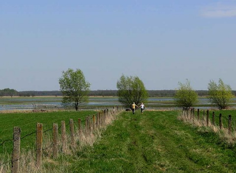 Kliknij na zdjęcie, żeby zobaczyć w pełnych wymiarach