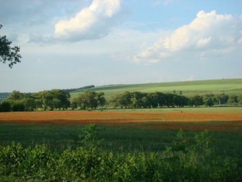 Kliknij na zdjęcie, żeby zobaczyć w pełnych wymiarach