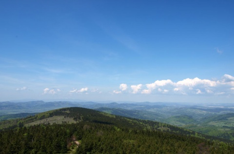 Kliknij na zdjęcie, żeby zobaczyć w pełnych wymiarach