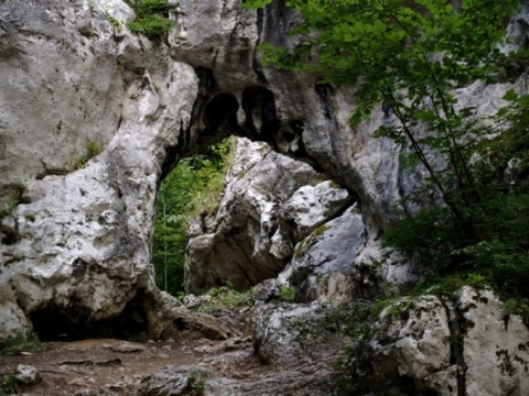 Kliknij na zdjęcie, żeby zobaczyć w pełnych wymiarach