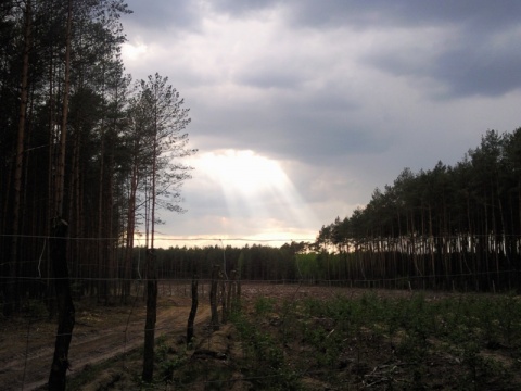 Kliknij na zdjęcie, żeby zobaczyć w pełnych wymiarach