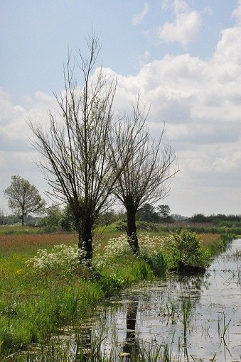 Kliknij na zdjęcie, żeby zobaczyć w pełnych wymiarach