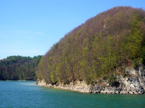 Kliknij na zdjęcie, żeby zobaczyć w pełnych wymiarach