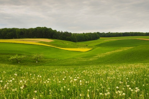 Kliknij na zdjęcie, żeby zobaczyć w pełnych wymiarach