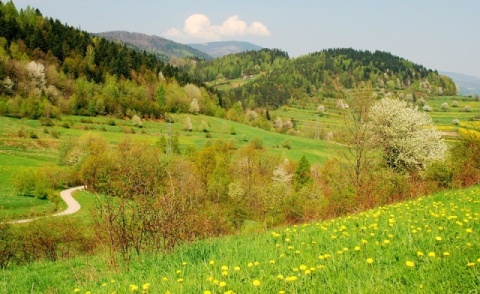 Kliknij na zdjęcie, żeby zobaczyć w pełnych wymiarach