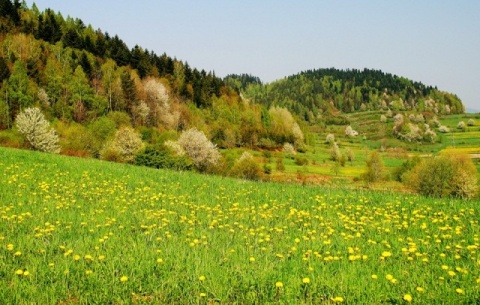 Kliknij na zdjęcie, żeby zobaczyć w pełnych wymiarach