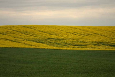 Kliknij na zdjęcie, żeby zobaczyć w pełnych wymiarach