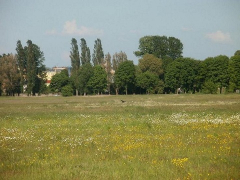 Kliknij na zdjęcie, żeby zobaczyć w pełnych wymiarach