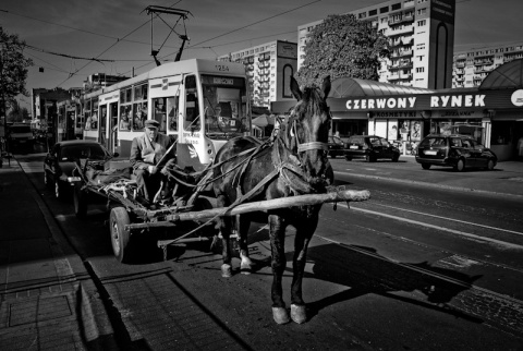 Kliknij na zdjęcie, żeby zobaczyć w pełnych wymiarach