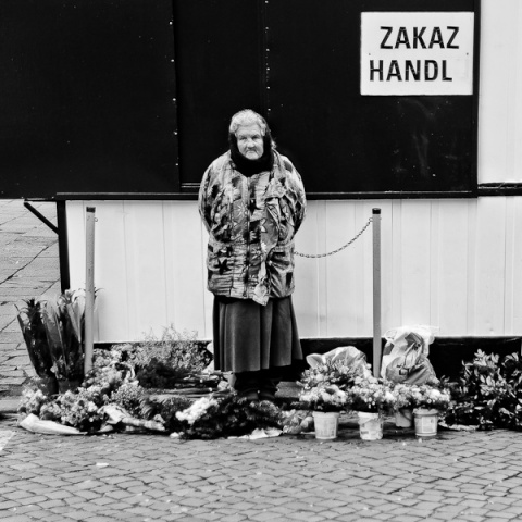 Kliknij na zdjęcie, żeby zobaczyć w pełnych wymiarach