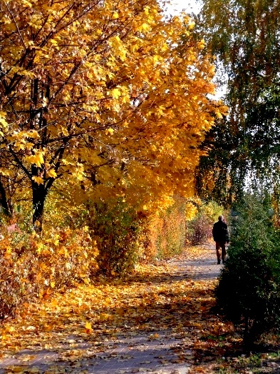 Kliknij na zdjęcie, żeby zobaczyć w pełnych wymiarach