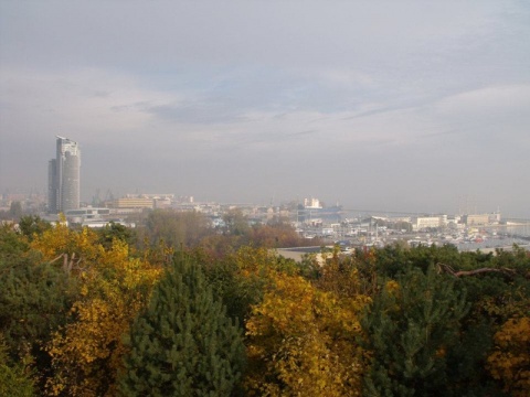 Kliknij na zdjęcie, żeby zobaczyć w pełnych wymiarach