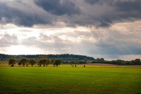 Kliknij na zdjęcie, żeby zobaczyć w pełnych wymiarach